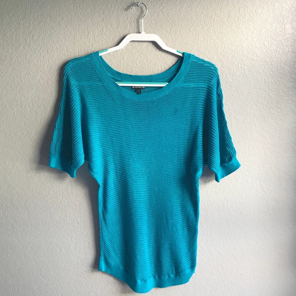 EXPRESS Mesh Dollman Sweater